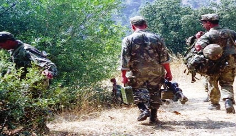 القضاء على إرهابيين داخل مركبتهم في‮ ‬قصف جوي‮ ‬بتمنراست