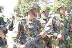 الجيش‮ ‬يشرع في‮ ‬تمشيط الجنوب لملاحقة خاطفي‮ ‬السائحة الإيطالية