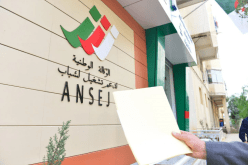 مجلس الوزراء.. الوصول إلى مليون مؤسسة مصغرة سنة 2024