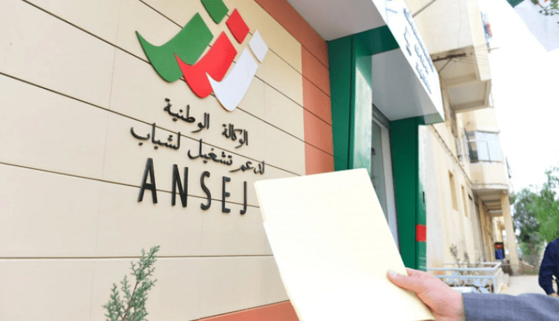 مجلس الوزراء.. الوصول إلى مليون مؤسسة مصغرة سنة 2024