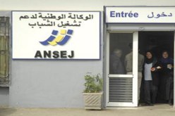 إستحداث أكثر من 9 ألاف منصب شغل بولاية معسكر