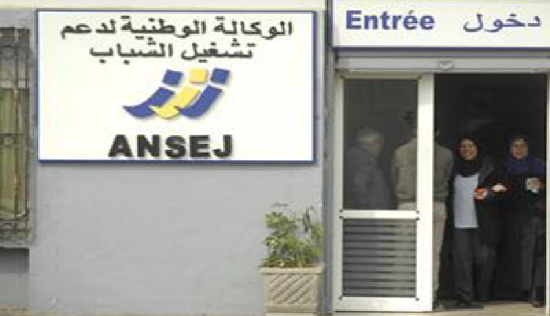 إستحداث أكثر من 9 ألاف منصب شغل بولاية معسكر