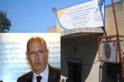 شباب ''أنساج'' سيسدّد 5 من المائة من الضرائب في السنة الرابعة