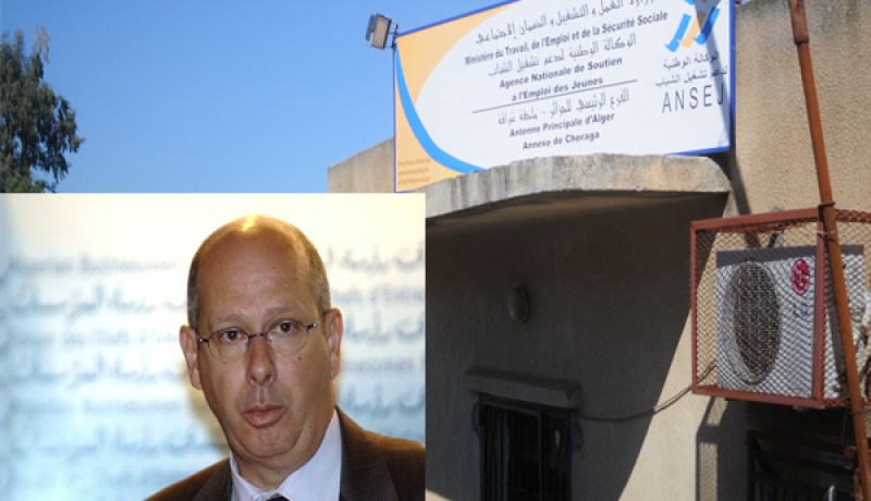 شباب ''أنساج'' سيسدّد 5 من المائة من الضرائب في السنة الرابعة