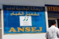 الوكالة الوطنية لدعم تشغيل الشباب تعتمد الإجراءات الجديدة حول التشغيل