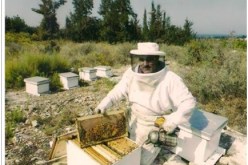 تراجع الإنتاج الوطني من العسل بسبب تقلبات الطقس