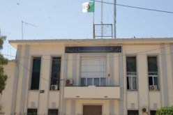 على الــبلديات أن ترتـقـي إلــى مـــســتـوى تـطـلـعـات المـواطـن