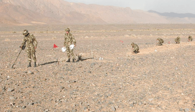 الجيش يقضي نهائيا على «ريحة» الاستعمار