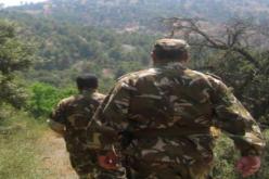 بومرداس: القضاء على إرهابيين اثنين بالقرب من قدارة بوزقزة