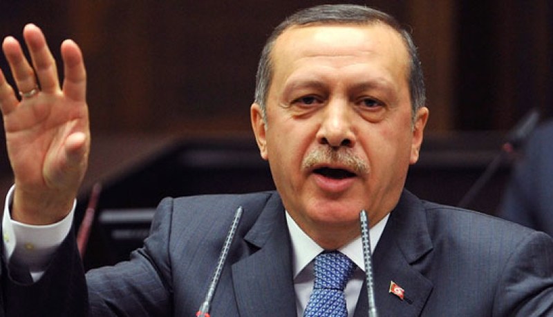 أردوغان : تركيا استطاعت الحصول على حقوقها عبر ثباتها