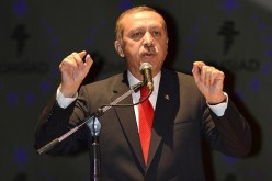 أردوغان: النظام الرئاسي سيقضي على حكم الأقلية
