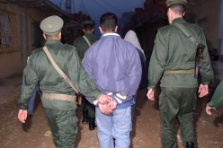 لصوص أغبياء أمام المحاكم… ومجرمون إلى خبرة يفتقدون