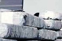 حجز أكثر من 8.6 طنا من الكيف ببشار