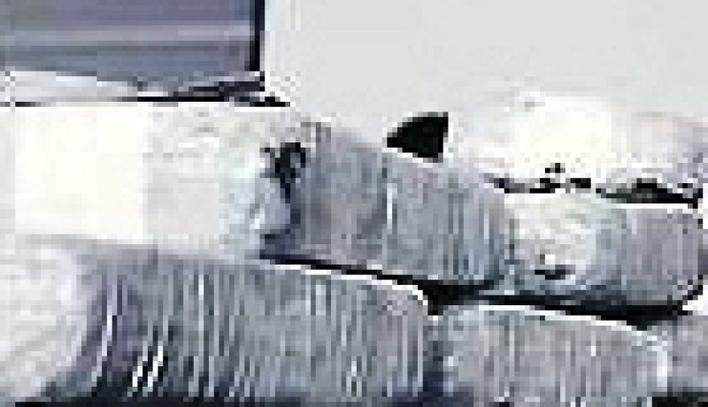 حجز أكثر من 8.6 طنا من الكيف ببشار