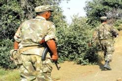 إكتشاف مخبأ يحوي 31 كلغ من مادة TNT  بسيدي بلعباس