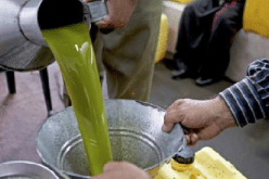 باتنة: حجز أزيد من 10500 لتر زيت الزيتون مغشوشة