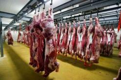 «الذبيحة باطـل في باطوارات الدولة»