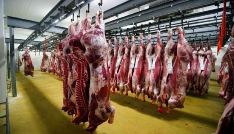 «الذبيحة باطـل في باطوارات الدولة»