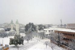 الثلوج تتسبب في شلَ حركة المرور بطرقات تيزي وزو