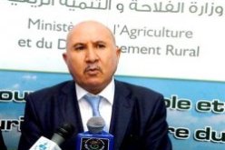 وزير الفلاحة يتحادث بروما مع المدير العام للفاو