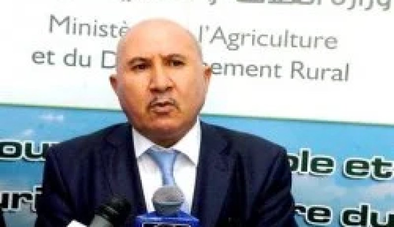 وزير الفلاحة يتحادث بروما مع المدير العام للفاو