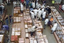 فروخي يدشن مسمكة بميناء الصيد لوهران