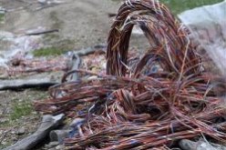 إنخفاض محسوس في سرقة الكوابل الهاتفية  بوهران