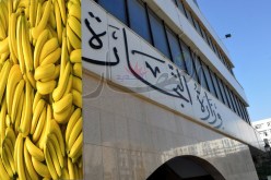 فتح حصة إستيراد 90 ألف طن من الموز إلى غاية 14 مارس