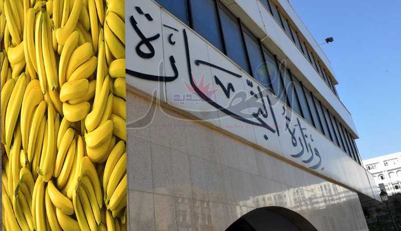 فتح حصة إستيراد 90 ألف طن من الموز إلى غاية 14 مارس