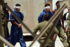 لجنة الأسرى الفلسطينيين تثمن قرار البرلمان الأوروبي بإرسال لجنة تقصي حقائق في السجون الإسرائيلية