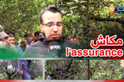 غياب التأمين الفلاحي.. هاجس الشباب الراغب في خدمة الأرض