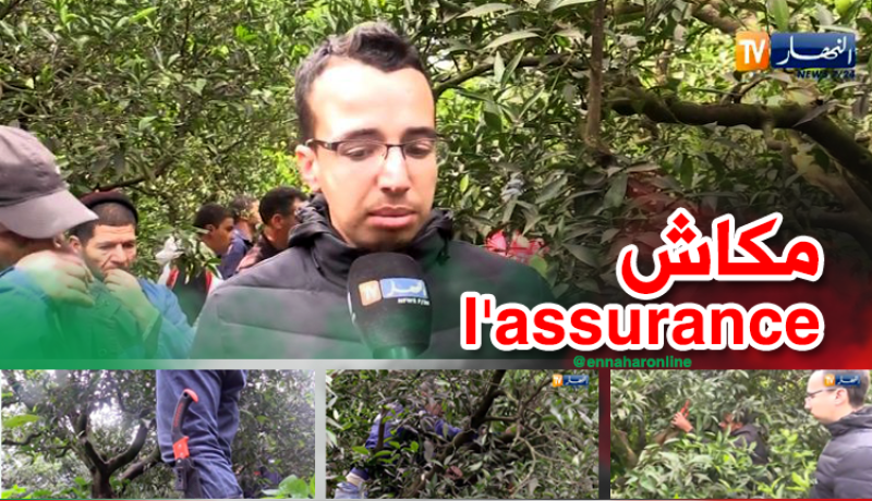 غياب التأمين الفلاحي.. هاجس الشباب الراغب في خدمة الأرض