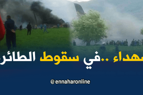 تسجيل عدد من الشهداء على إثر حادث تحطم الطائرة