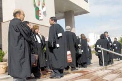 ‮''‬على بوتفليقة أن‮ ‬يكبح جماح الفساد ويفتح المجال للتداول على السلطة‮''‬