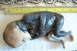 أم عازبة ترمي‮ ‬ابنها‮ ‬غير الشرعي‮ ‬في‮ ‬الشارع لإخفاء الفضيحة بالعاصمة‮ ‬