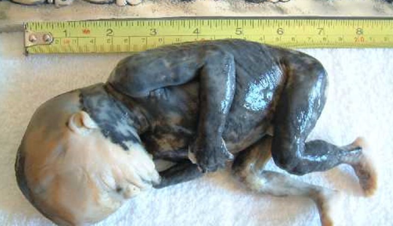 أم عازبة ترمي‮ ‬ابنها‮ ‬غير الشرعي‮ ‬في‮ ‬الشارع لإخفاء الفضيحة بالعاصمة‮ ‬