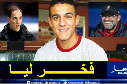 شادلي: “فخور بعملي تحت إشراف كلوب وتوخيل”