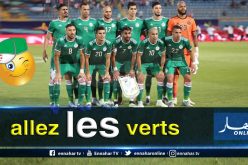 الفاف تكشف عن برنامج الخضر 2020-2021