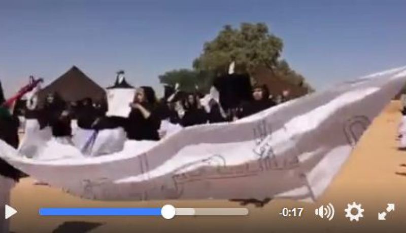 السفيرة الأمريكة جوان بولاشيك تزور مخيمات اللاجئين الصحراويين في تندوف