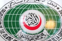 منطمة التعاون الاسلامي تعلن عن رفضها اعلان قيام وطن مستقل شمالي مالي