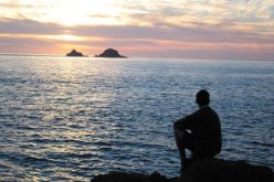 من يفتح الأبواب لهؤلاء العزّاب؟..يريدون اكمال نصف الدين