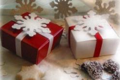 قليل يسعدك ولا كثير يشقيك