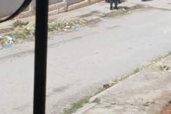 عودة الهدوء نسبيا إلى شوارع مدينة واد الماء بباتنة