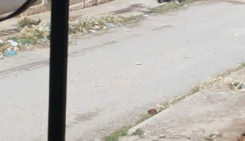 عودة الهدوء نسبيا إلى شوارع مدينة واد الماء بباتنة