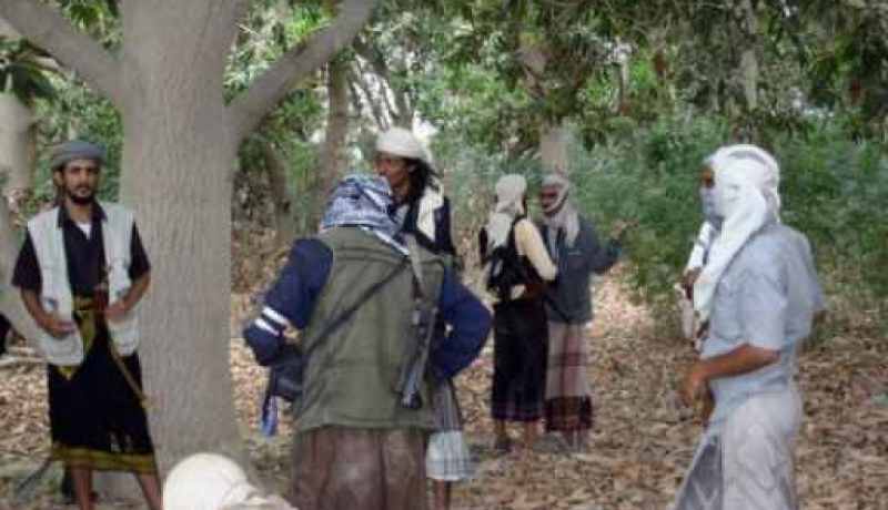 مقتل 5 عناصر من القاعدة ومدني في جنوب اليمن
