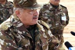 القضاء على سبعة عناصر من الجماعة السّلفية وملاحقة آخرين