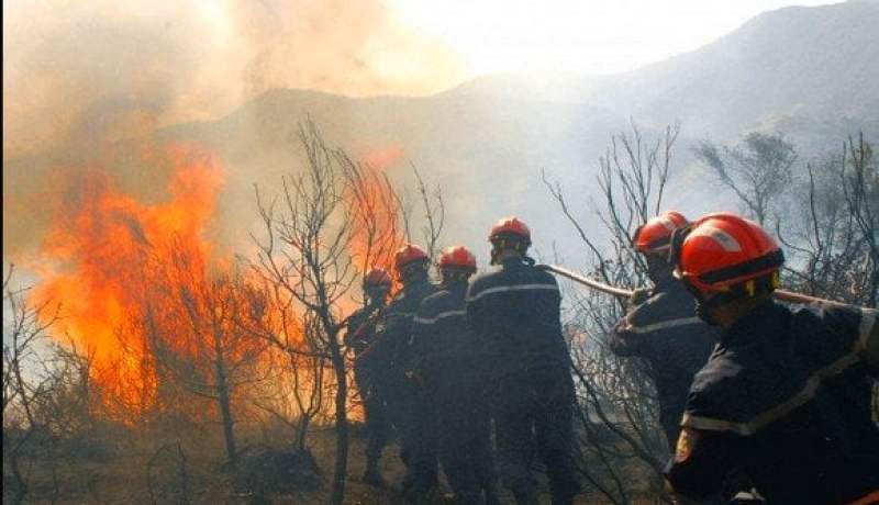 الحرائق أتلفت أكثر من ألفي غابة في الشرق والوسط