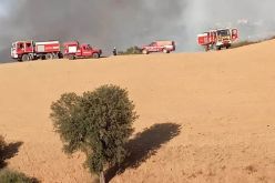 تيزي وزو.. إخماد حريق بقرية بومهيني ببلدية آيت يحيى موسى