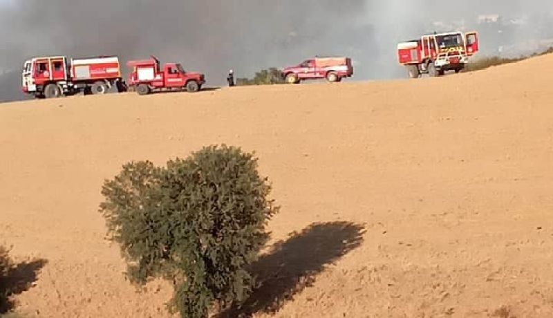 تيزي وزو.. إخماد حريق بقرية بومهيني ببلدية آيت يحيى موسى