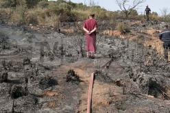 سعيد فريطاس: حرائق خنشلة سابقة من حيث الشدة والخسائر!